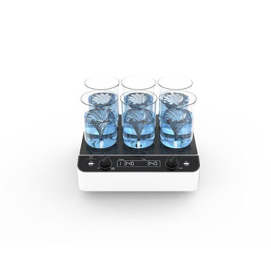 Multi-position Magnetic Stirrer BK-ST6