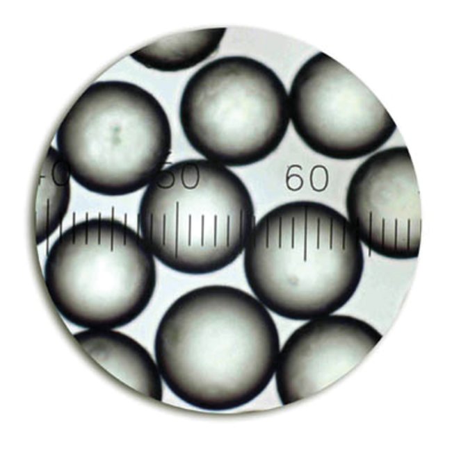 2000 Series Uniform Polymer Particles